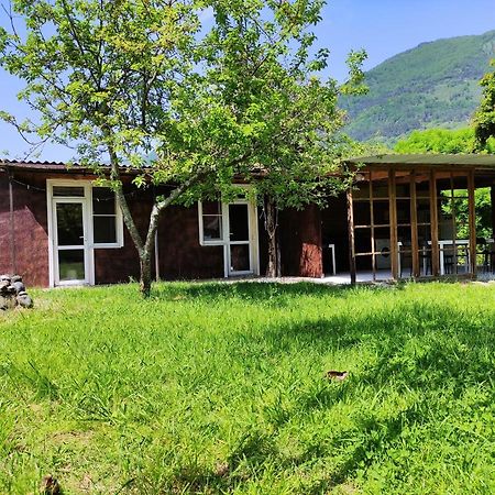 V Gostiakh U Maii Hotel Гагра Екстериор снимка